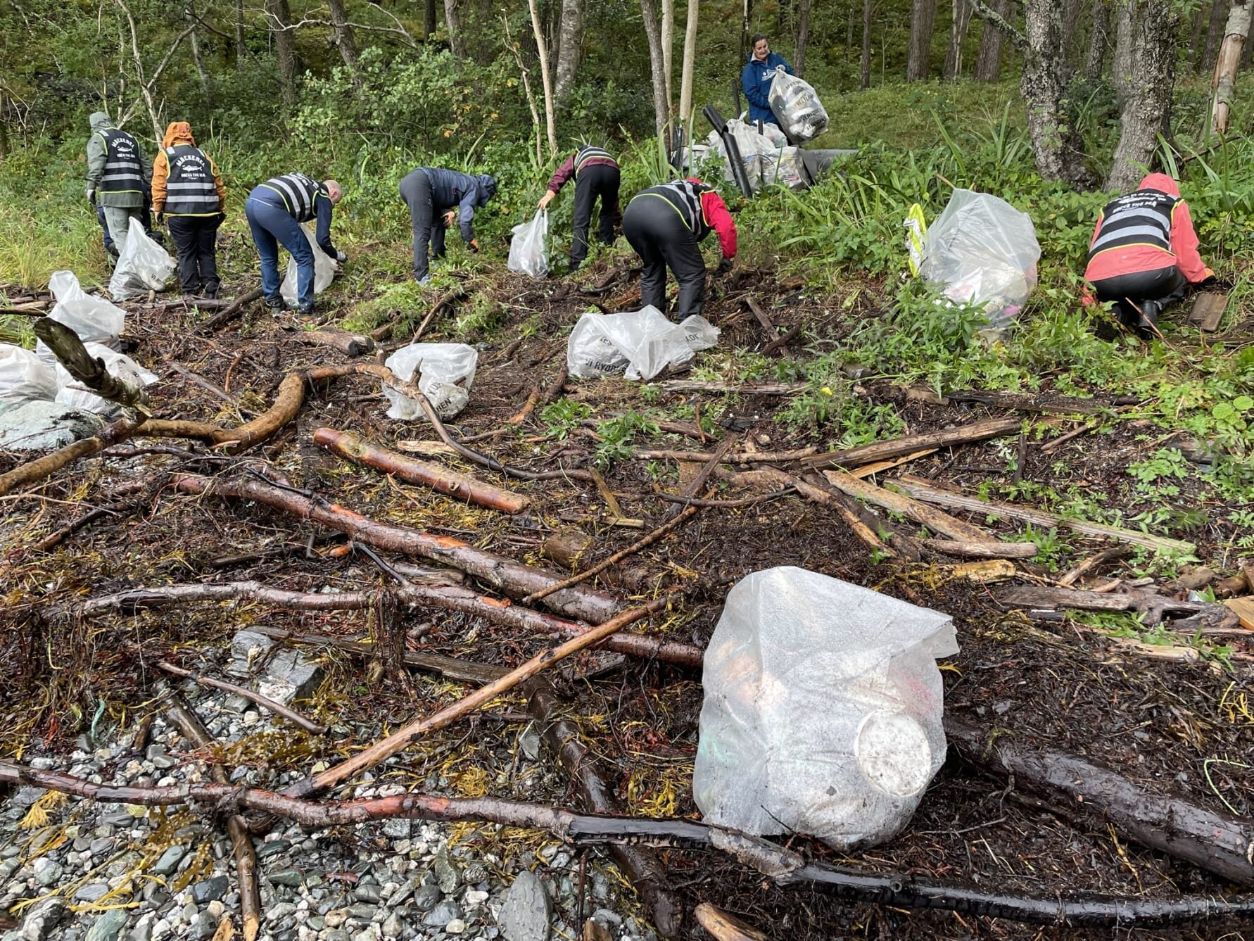 Sjømatnæringen med felles plastseminar og ryddeaksjon