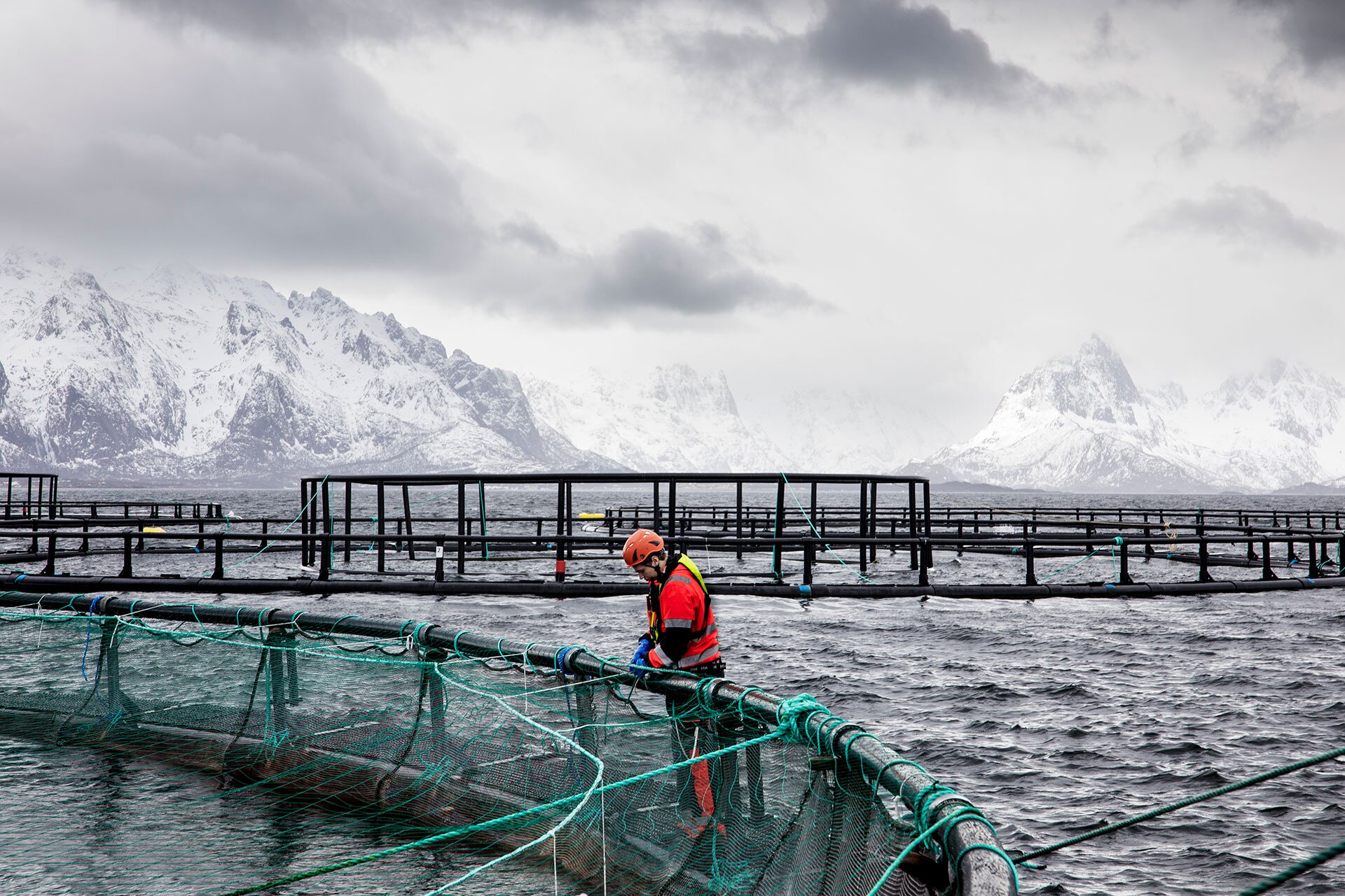 Arbeid på mærkanten, vinter