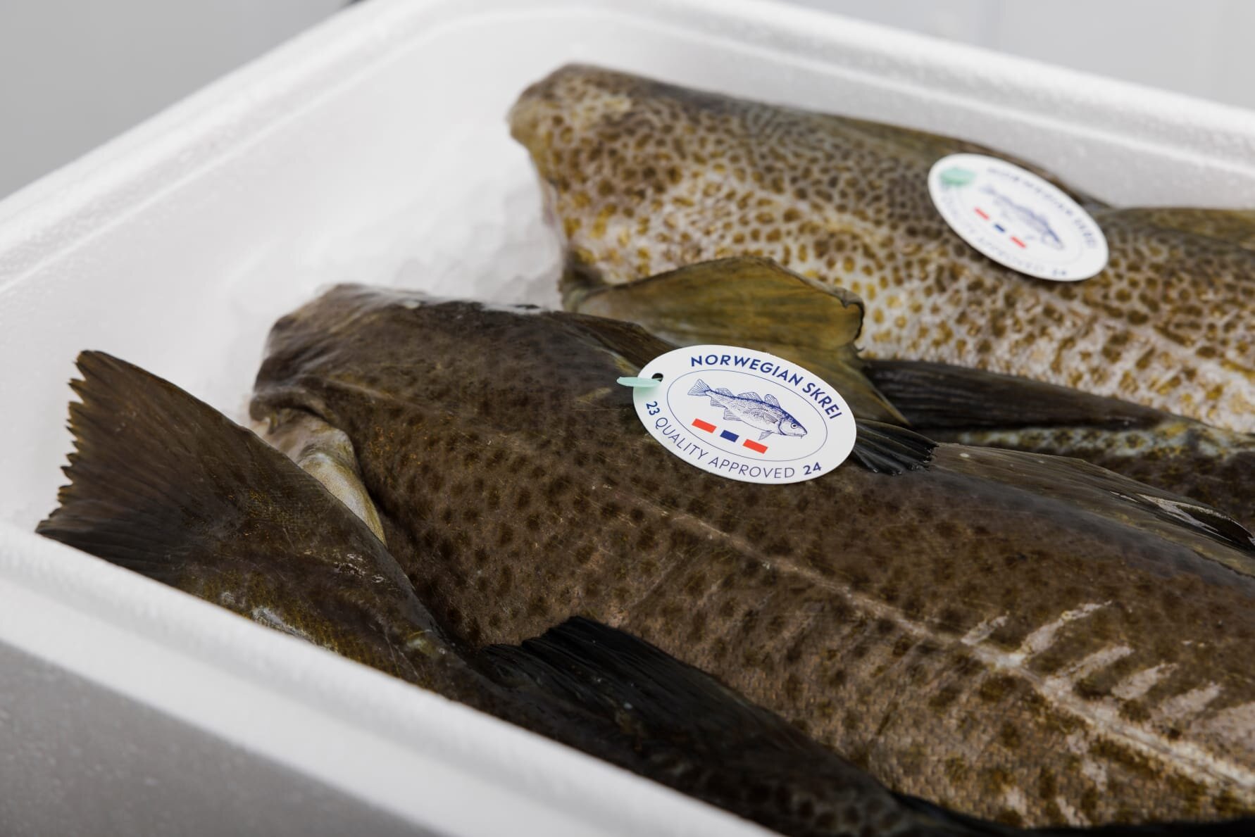 Fin skrei, men husk riktig merke