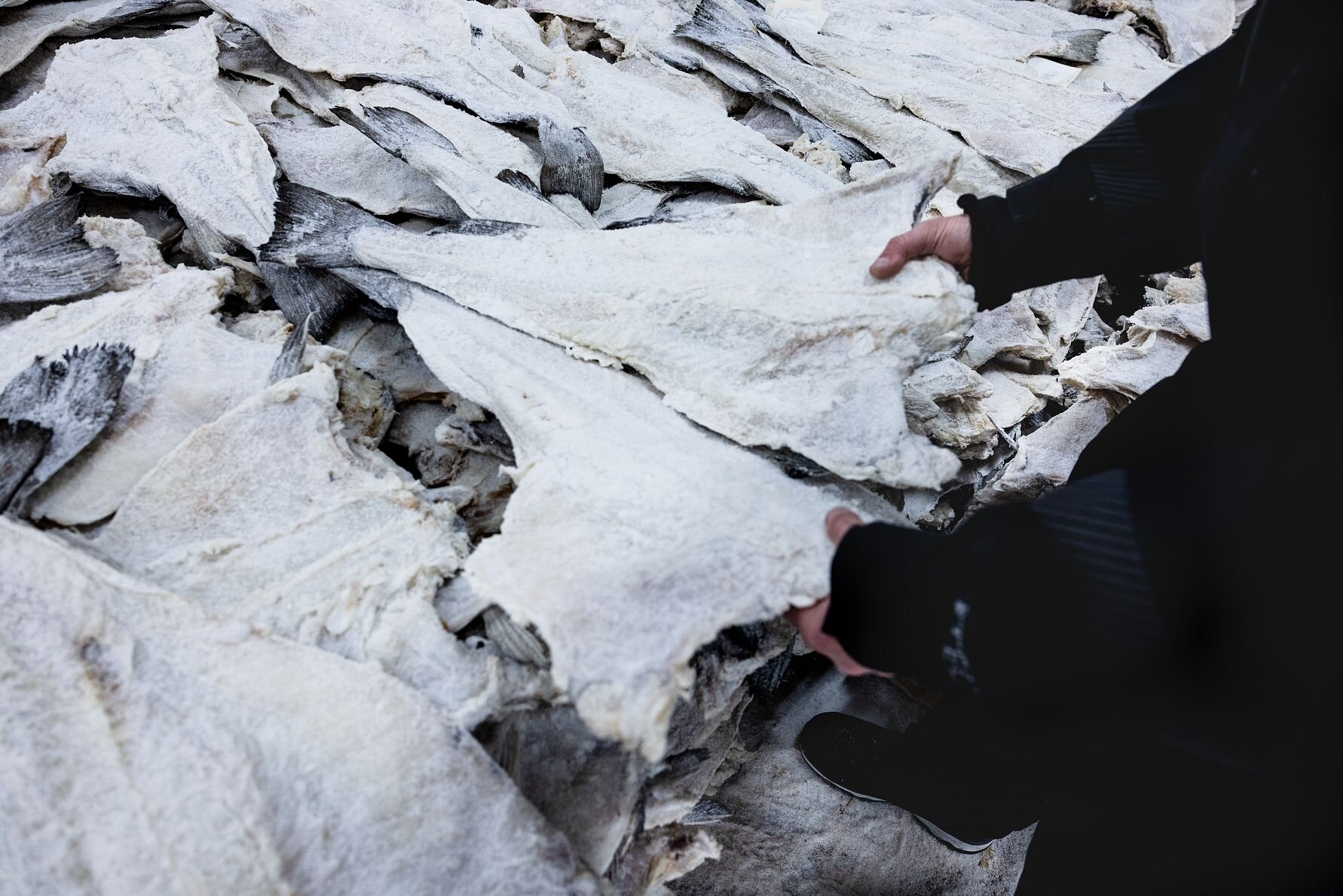 tavqz5ceoaxojzcnuclni3_mainimage