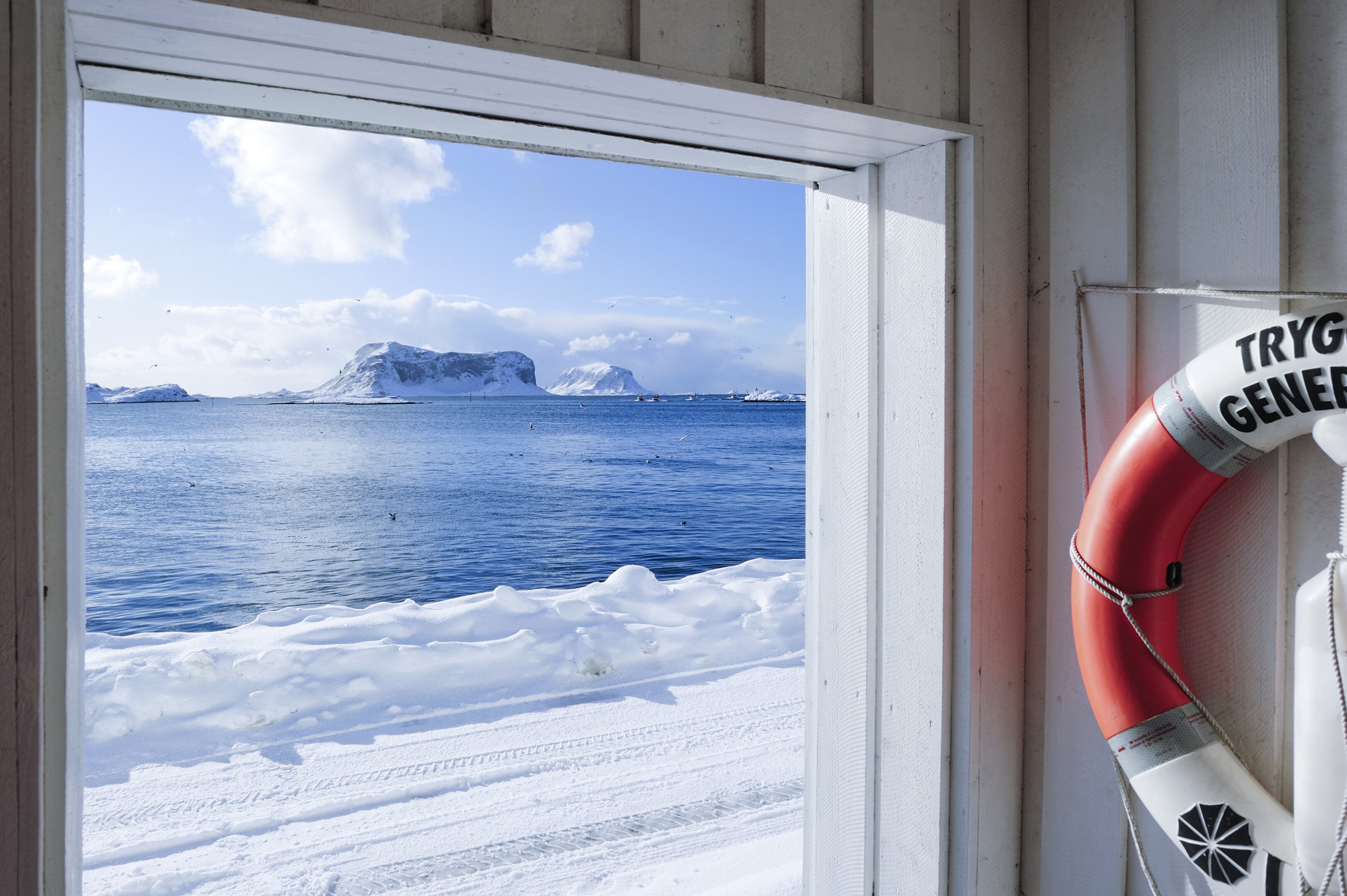 Tidenes torskeeksport i 2014