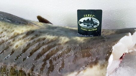 Høy kvalitet på årets skrei