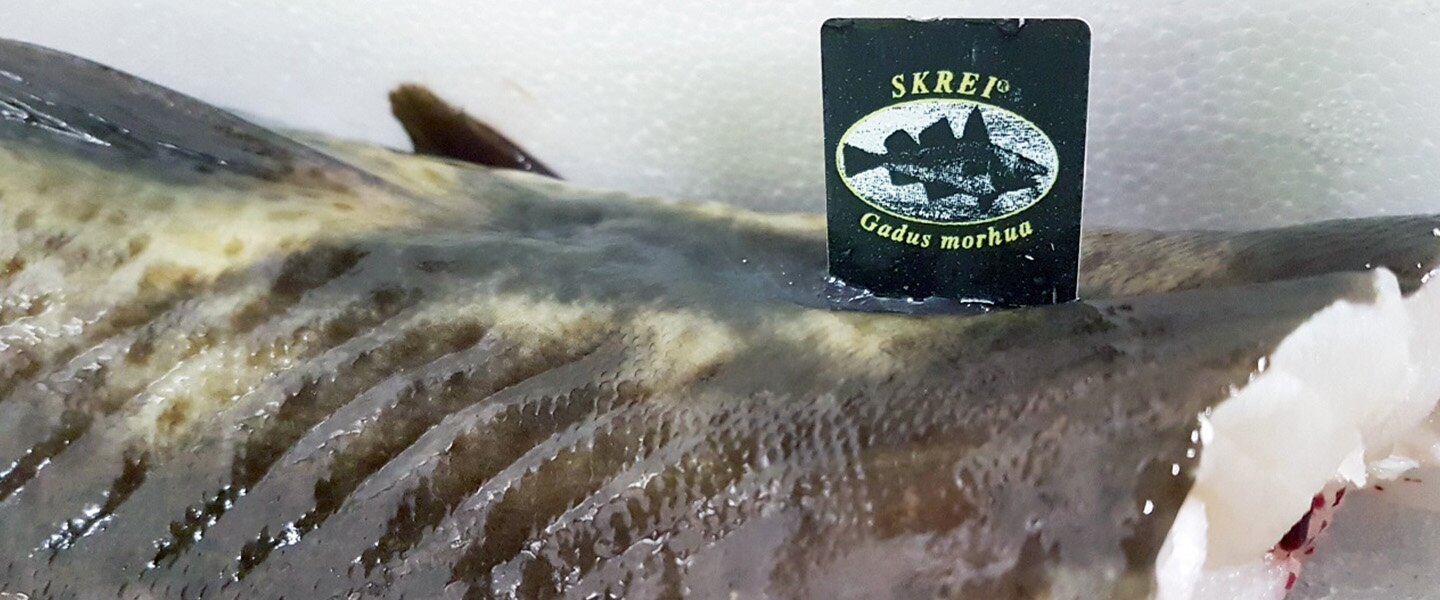 Høy kvalitet på årets skrei 