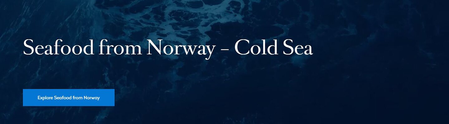 Skjermdump nye nettsider