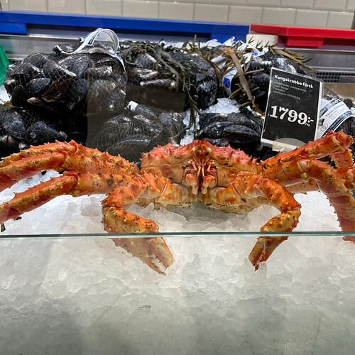 Foto: Dag Sørli, Norges sjømatråd