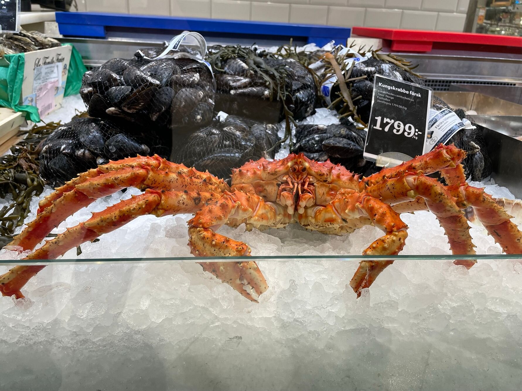 Foto: Dag Sørli, Norges sjømatråd