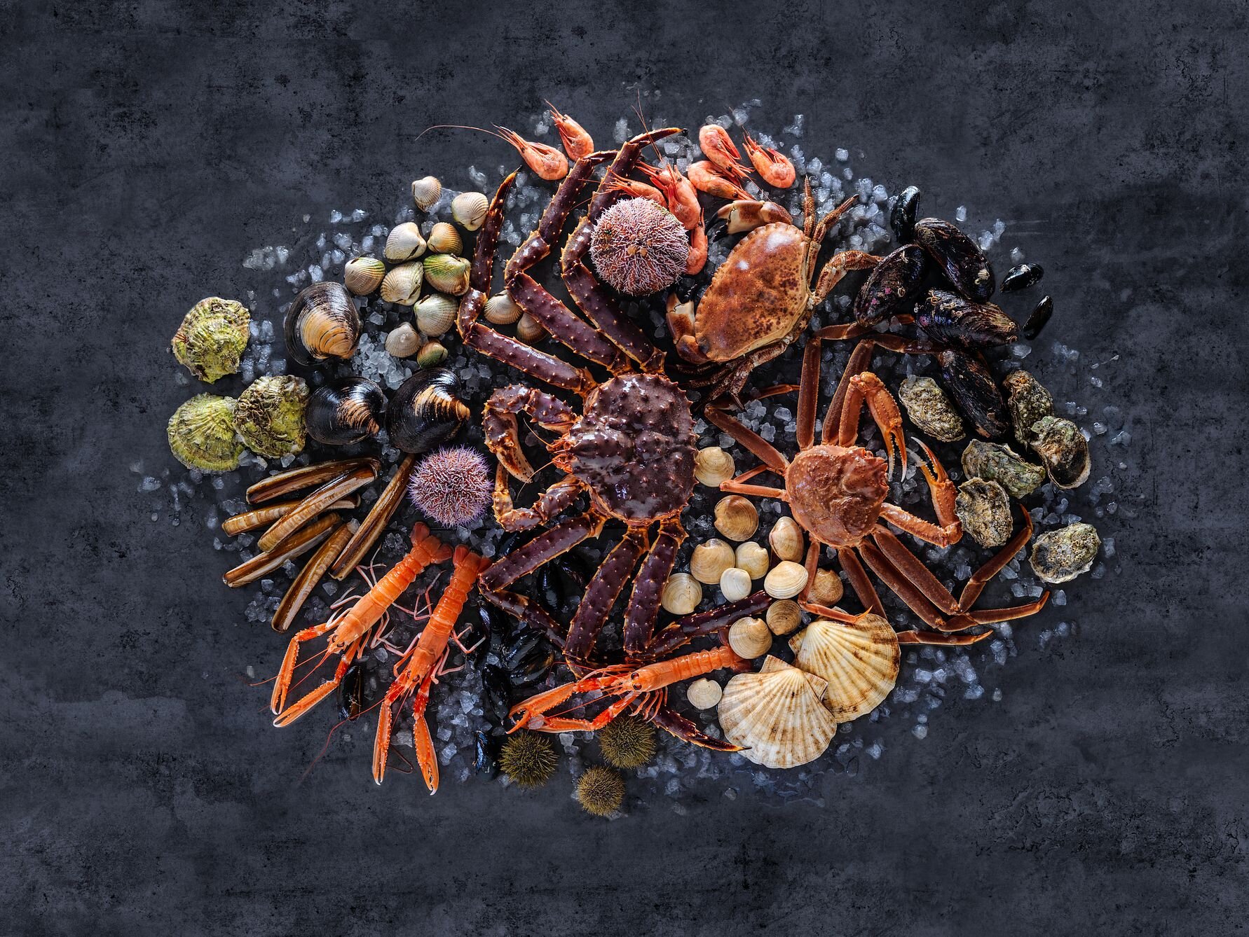 Norske skalldyr er en ettertraktet delikatesse på high-end restauranter i inn- og utland. FOTO Studio Dreyer Hensley