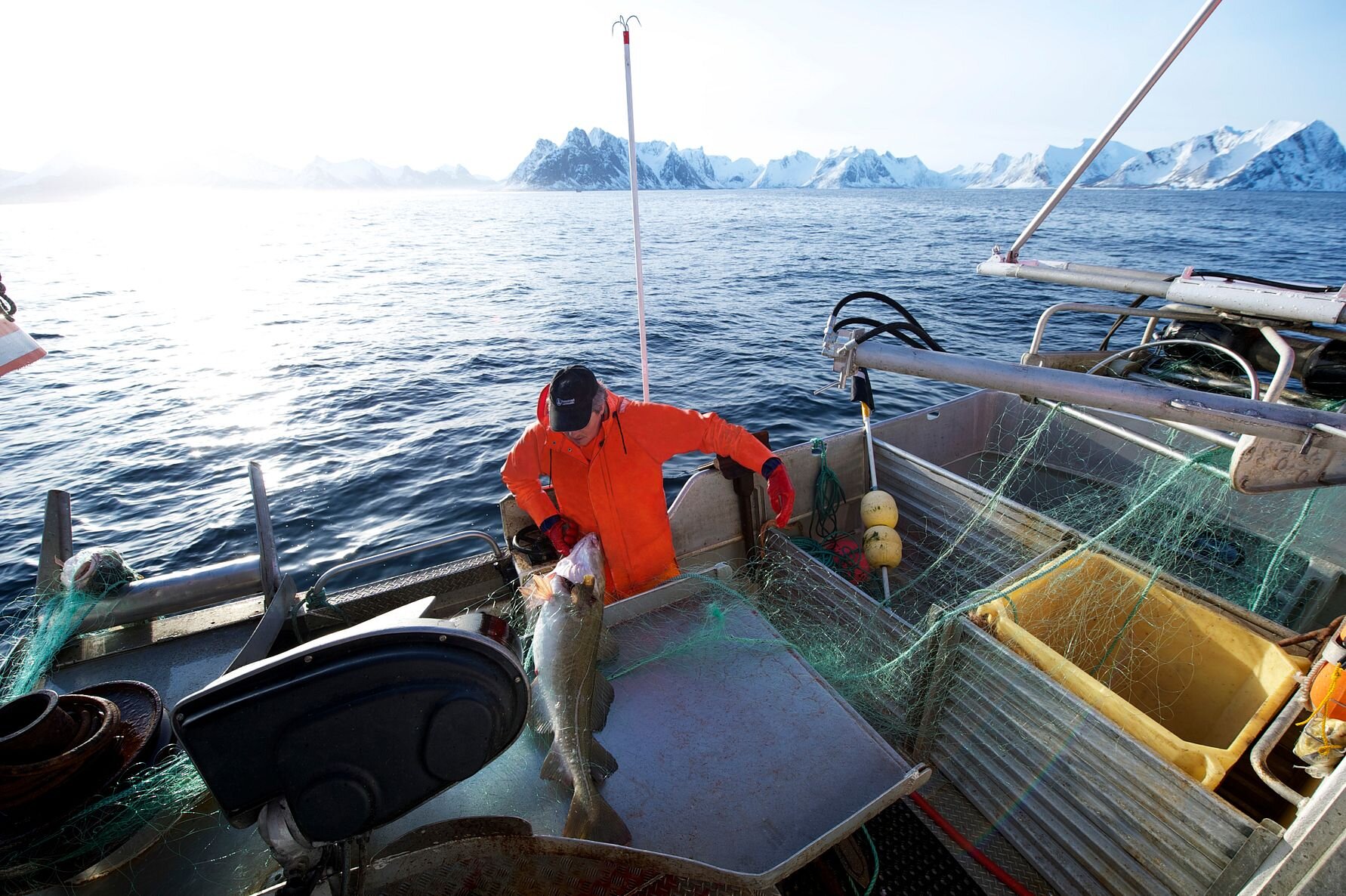 Fiskerinæringen har lange tradisjoner og stor betydning for Norge. Nå skaper kvotereduksjoner bekymringer. FOTO: Johan Wildhagen/Sjømatrådet