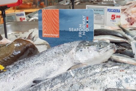 Norske sjømatkjendiser