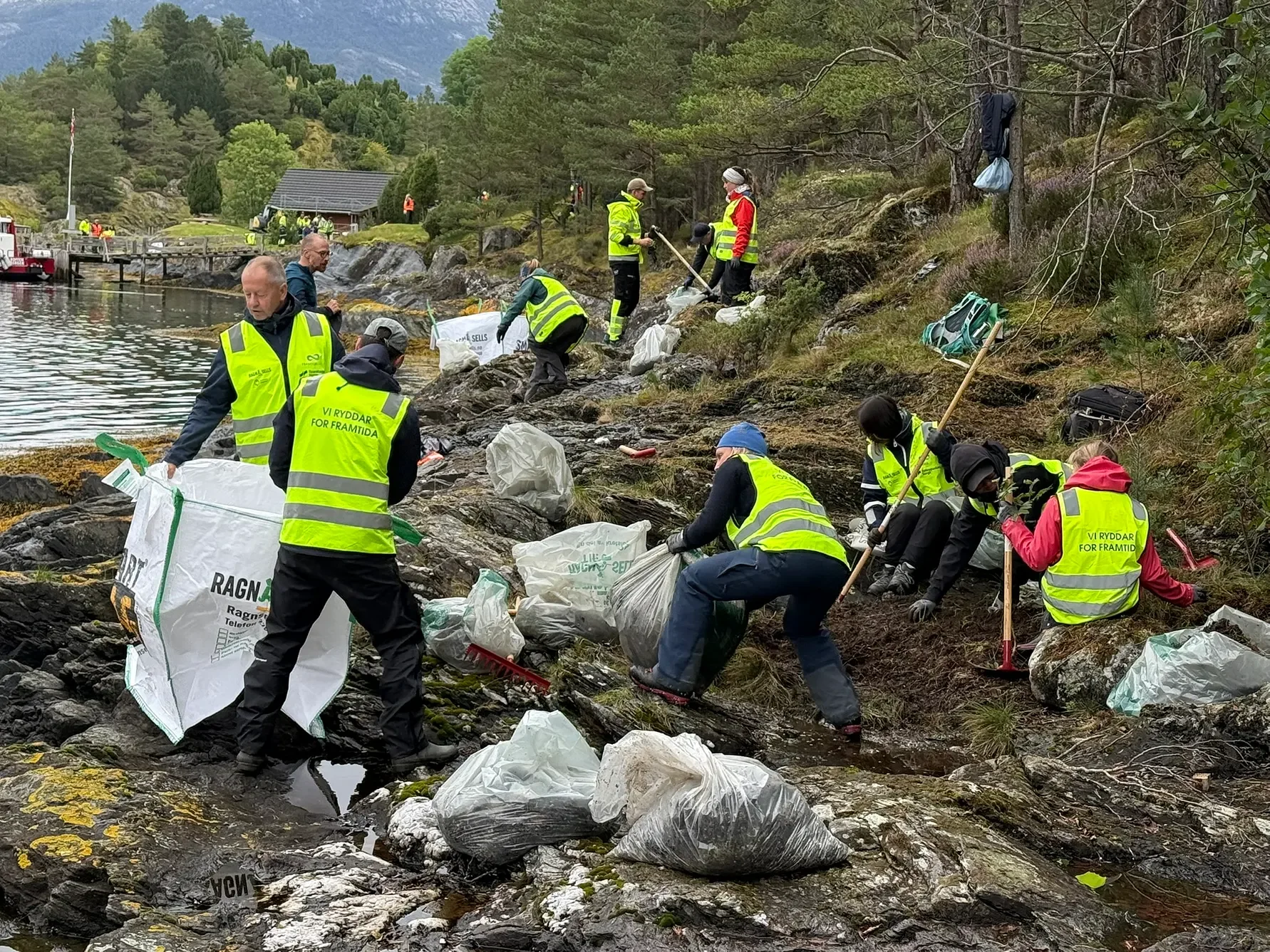 Foto: Dag Sørli, Norges sjømatråd