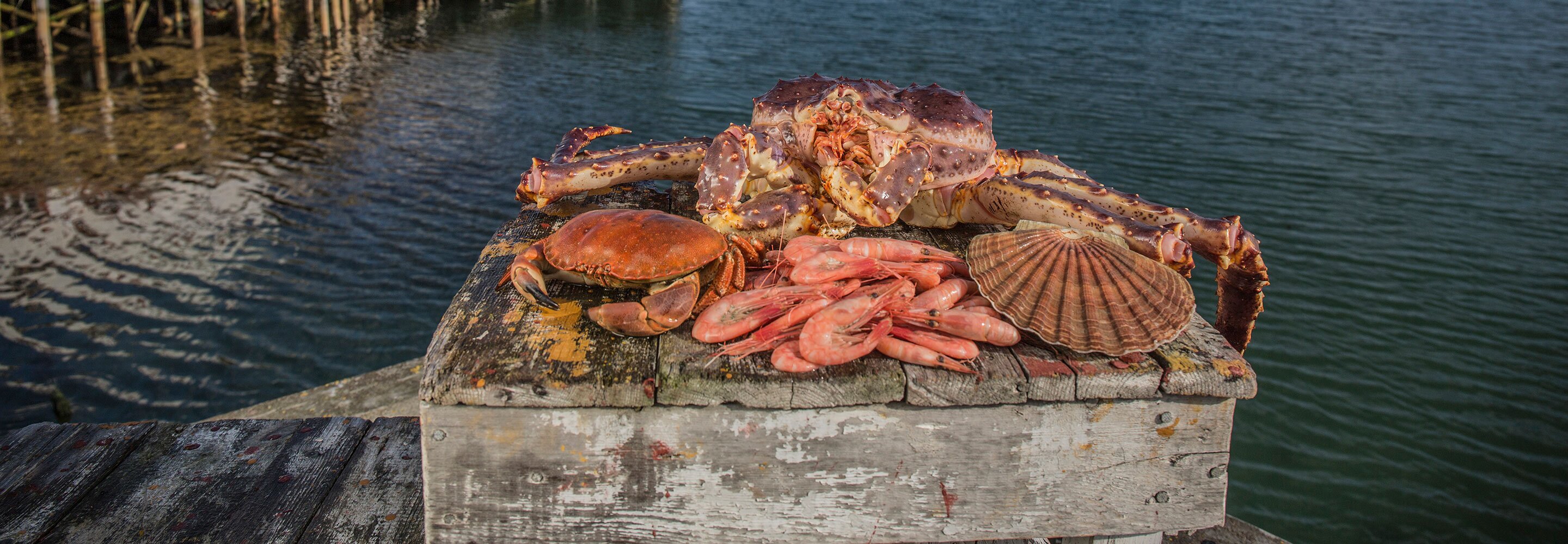 Skalldyr - det beste fra Norge