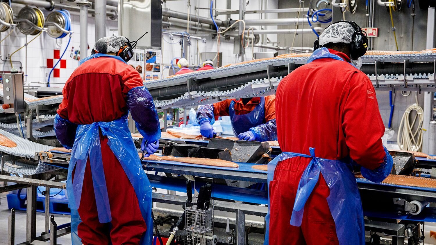 Filetering av laks hos Nordlaks, Børøya