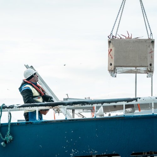 Kan snøkrabbe til Europa bli Norges neste eksporteventyr?