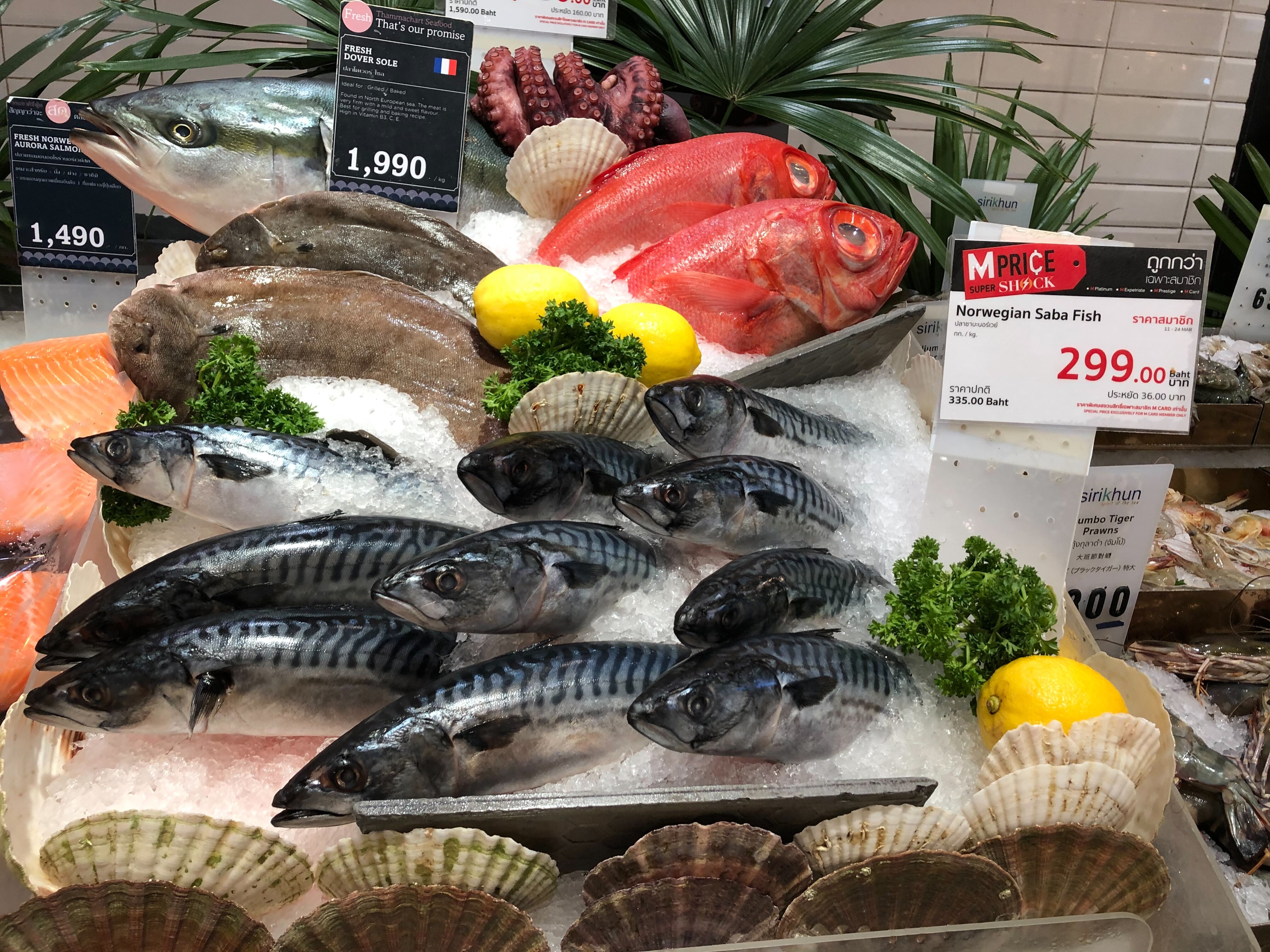 Makrellen løftes frem i Sørøst-Asia