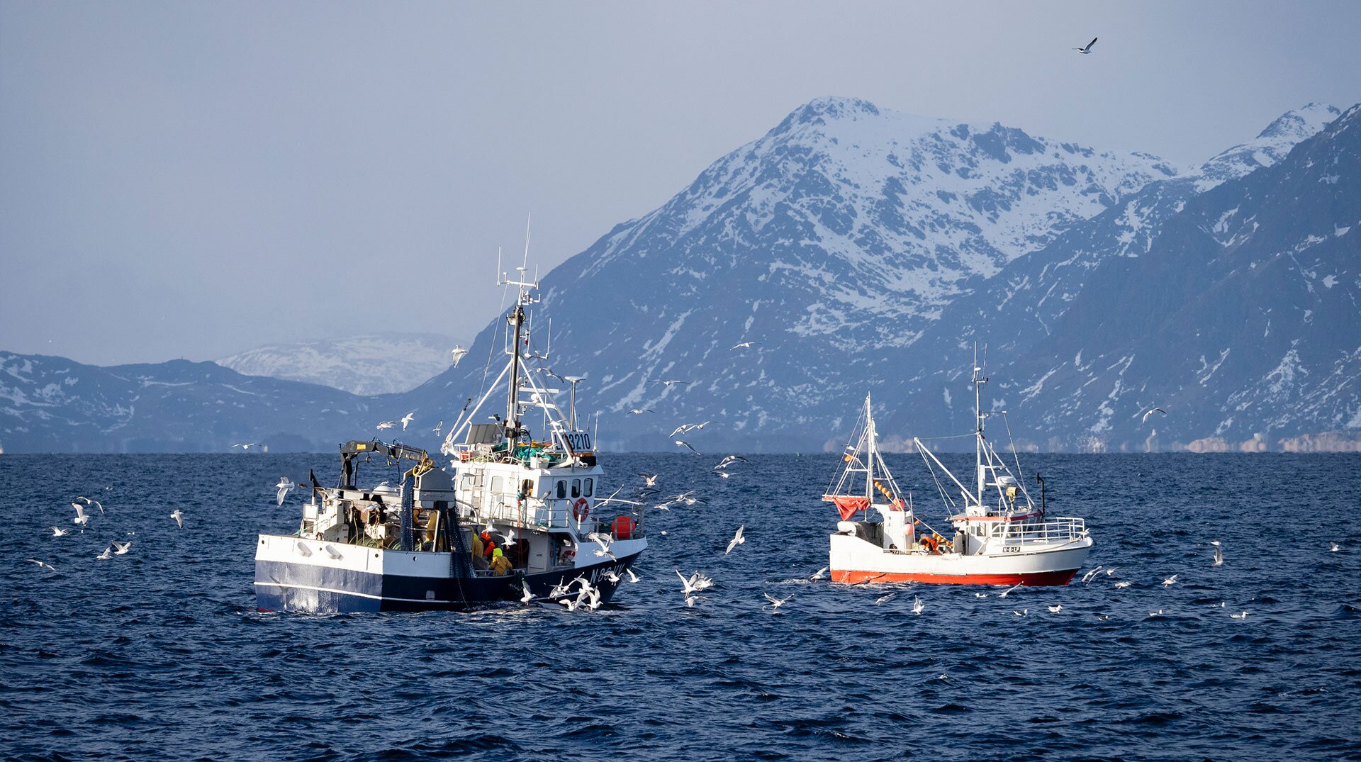 Kystfiskebåter på feltet
