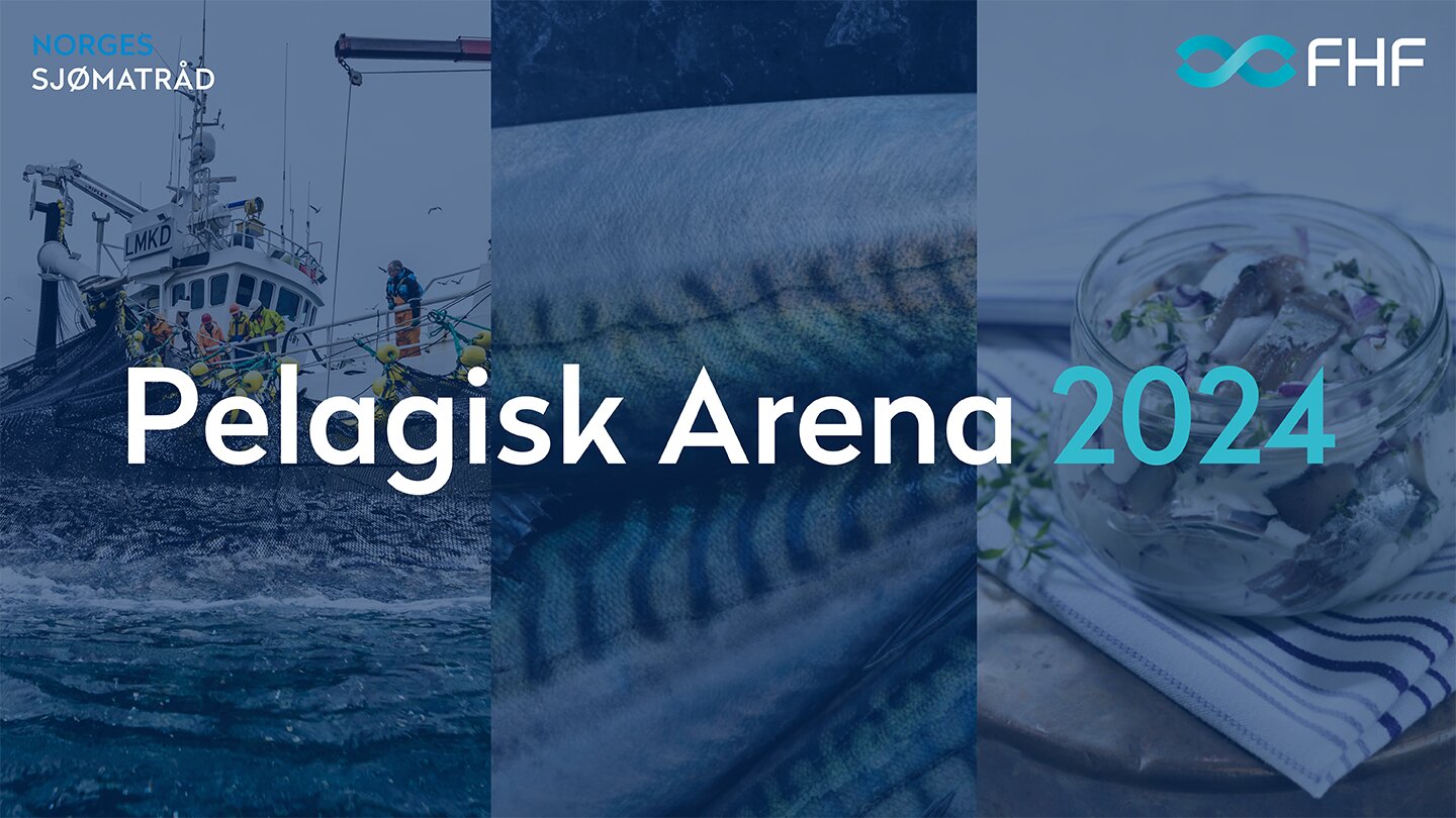 Pelagisk Arena 2024