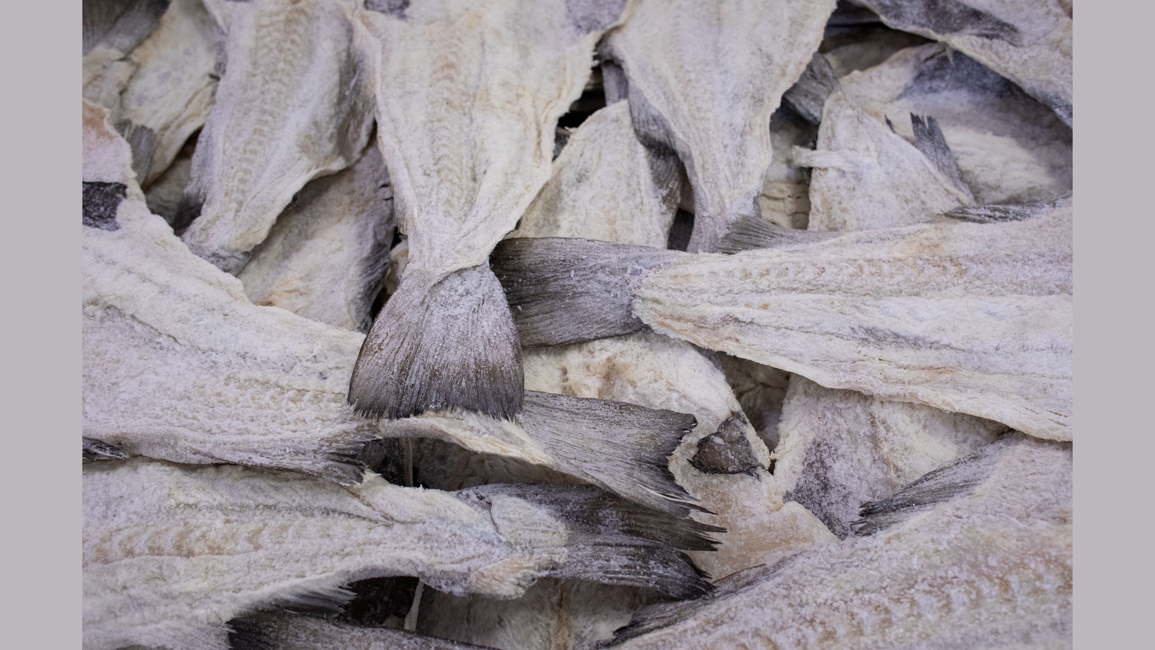 2021_SFN_Clipfish_Aalesund_foto_Knut_Aaserud 3840 x 2160