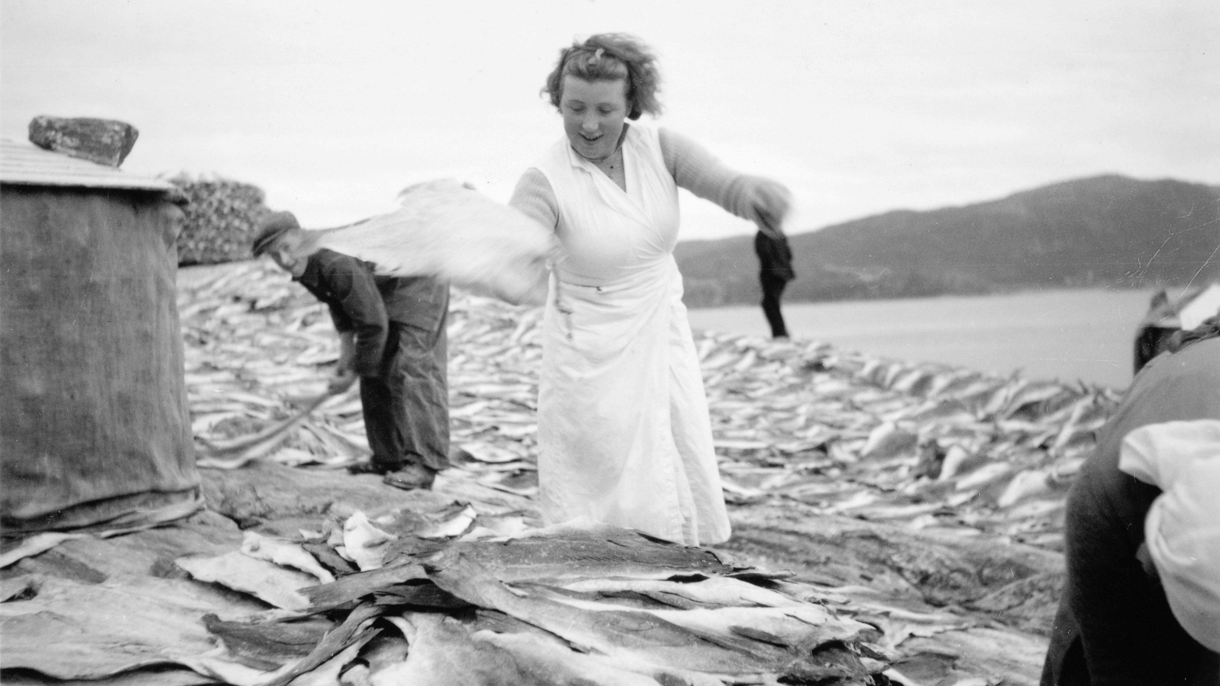 Klippfiskkjerring-FOTO-Georg-Sverderup-Nordmøre-museum-16x9