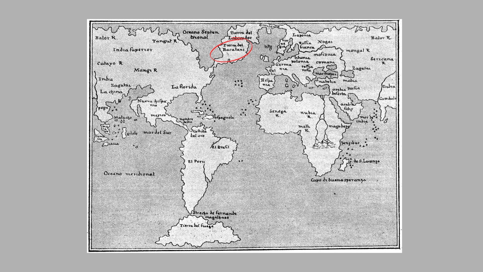 World map 1548 Giacomo Gastaldi