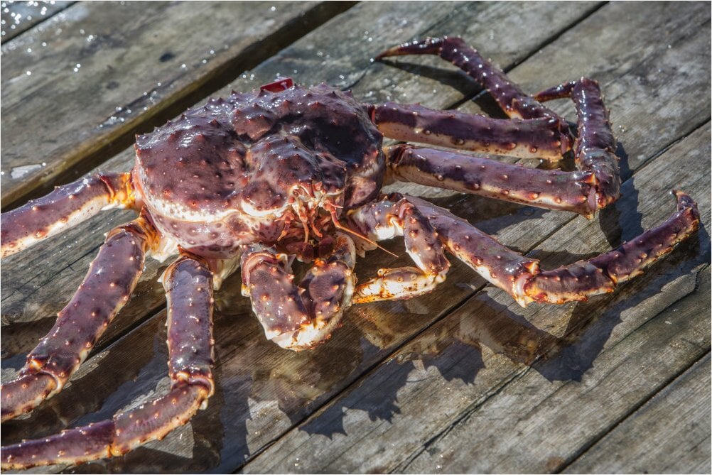 Sitting on the dock of the bay