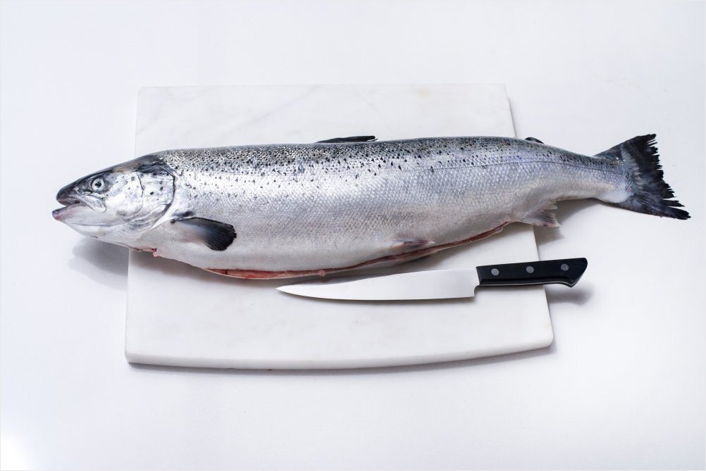 Laks til filetering
