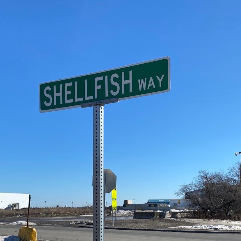 shellfish avenue