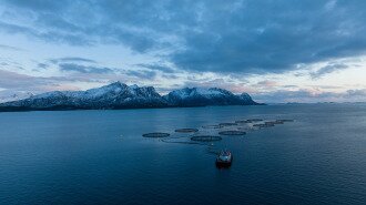 Fiords with aqua culture pens