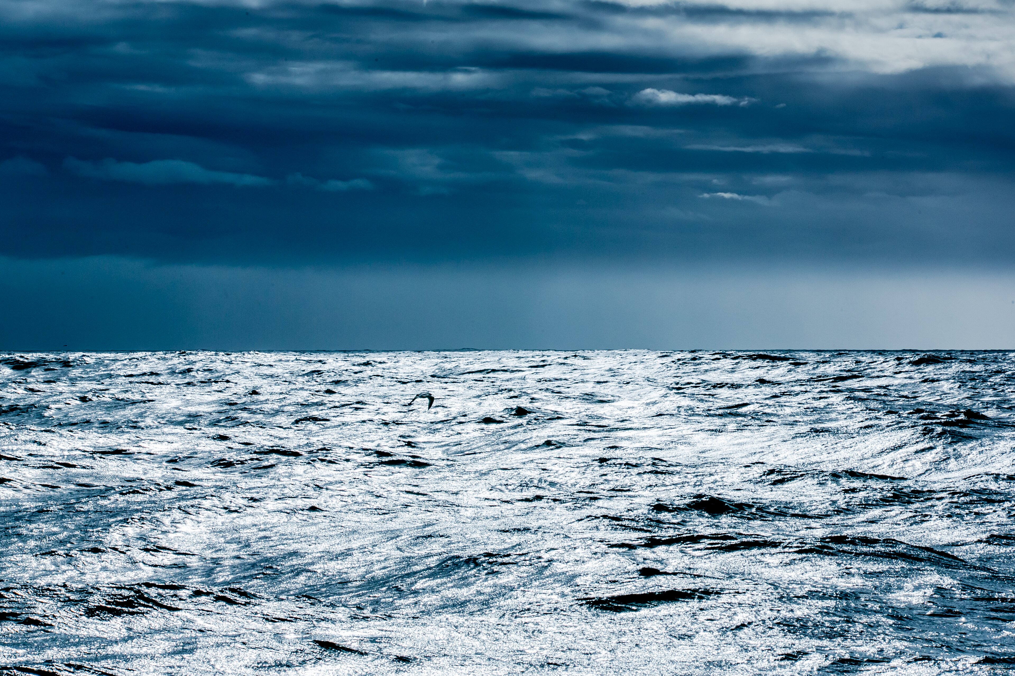 Christina Neumann og Elisabeth Øvreberg