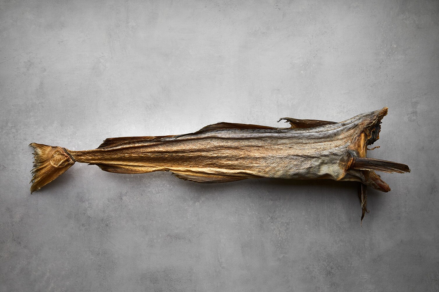 Stockfish FOTO Aina Hole resize