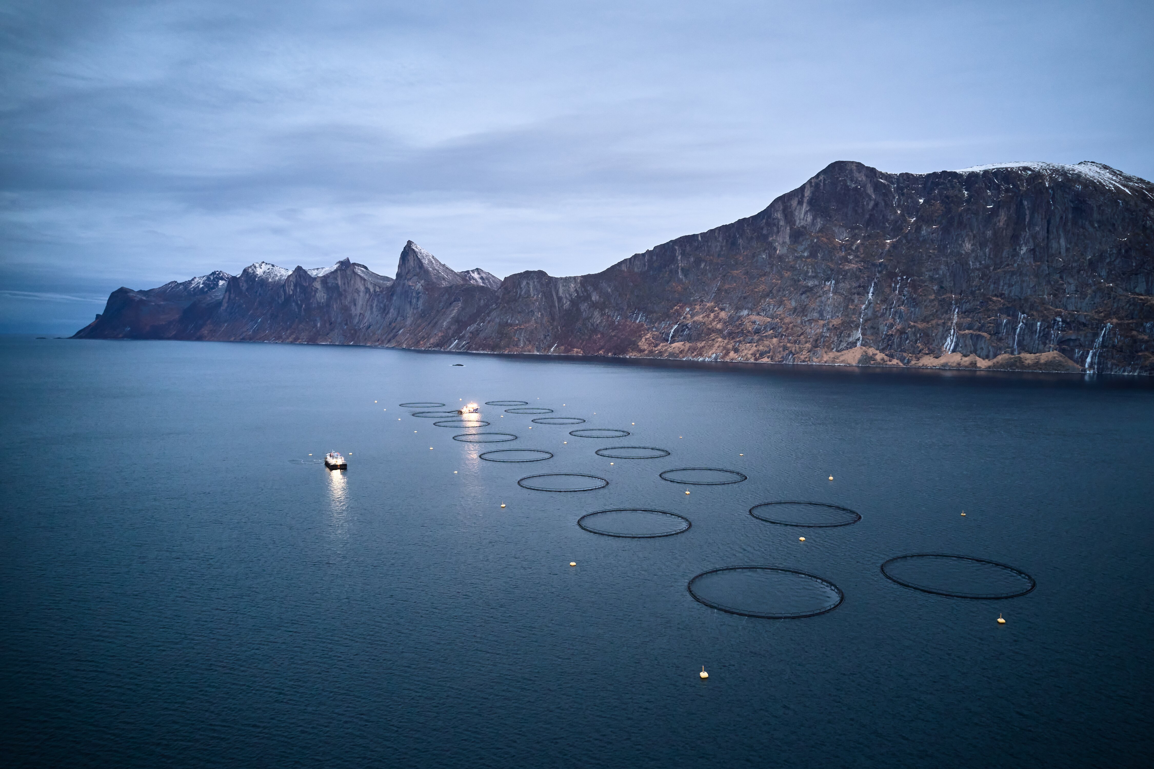 Oppdrettsmerder med tilhørende båt
