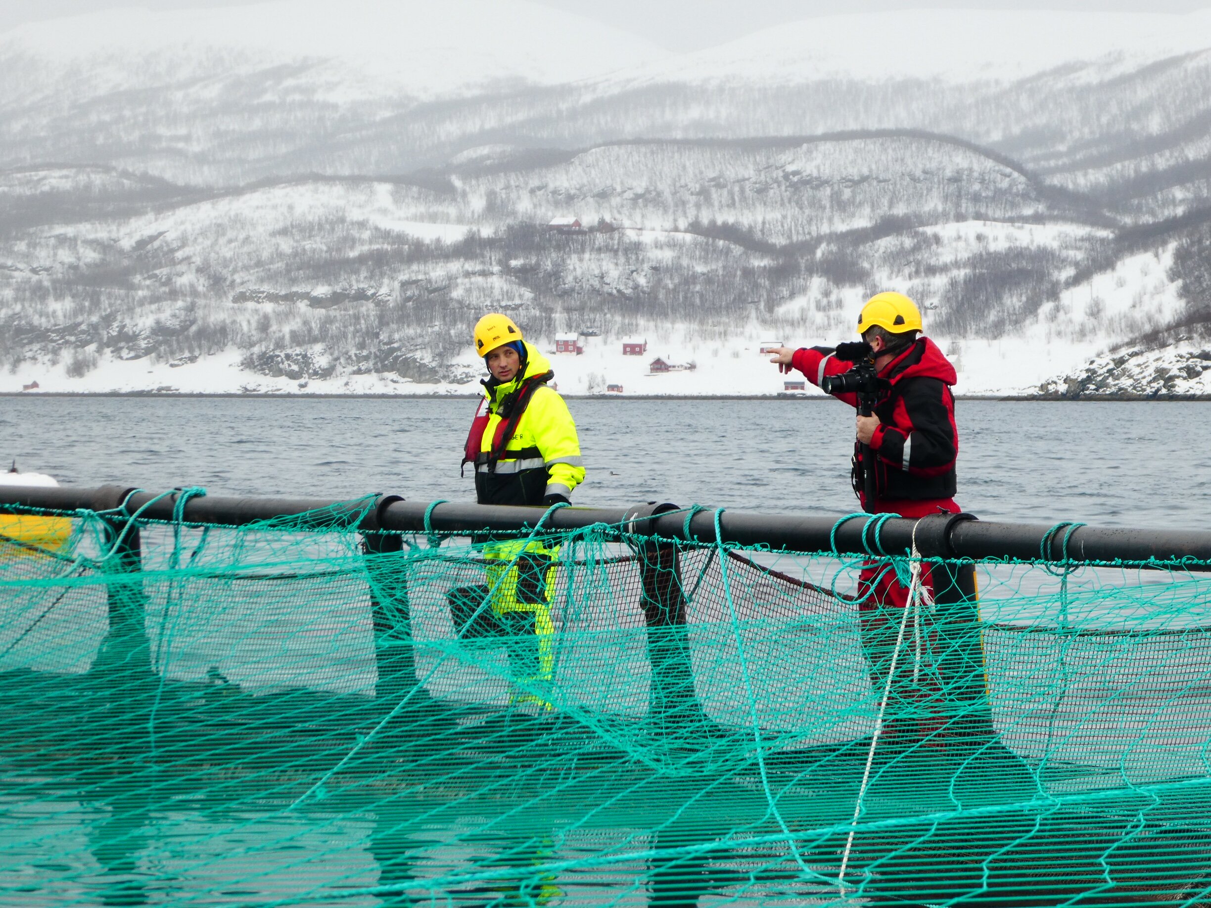 På merdekanten i Nyvoll