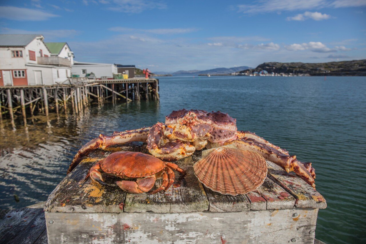 King crab, Prawns, Prawns and shellfish, Scallops, Crab, Crab