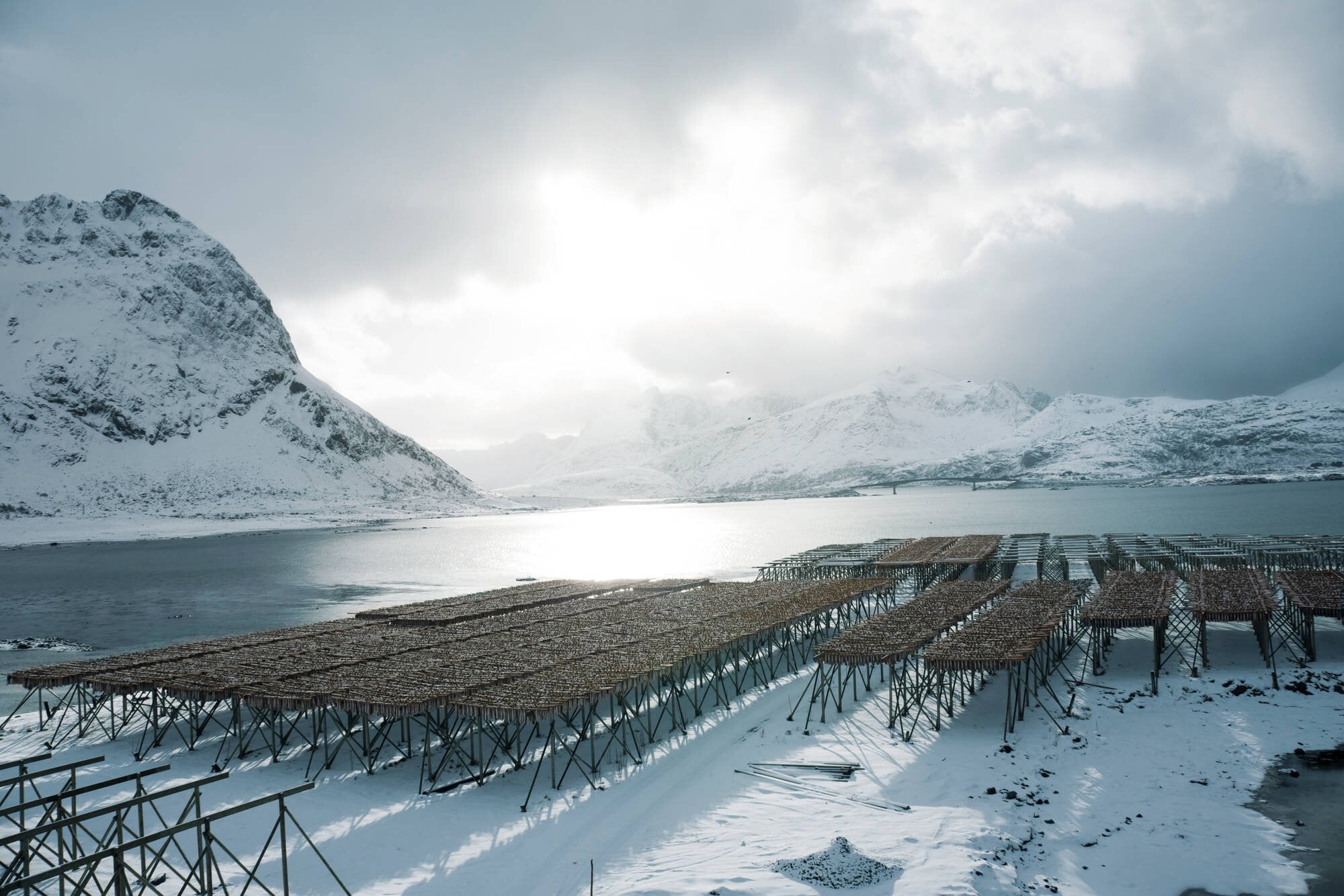  Stockfish