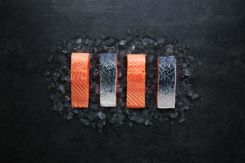 salmon 4 fillets dark background